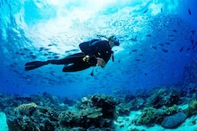 Goa To Pondicherry: 5 Top Places To Go Scuba Diving In India